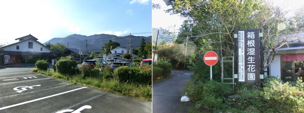 【箱根湿生花園】の駐車場（左）と 駐車場から【箱根湿生花園】に続く道（右）