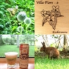 Thumbnail of new posts 047