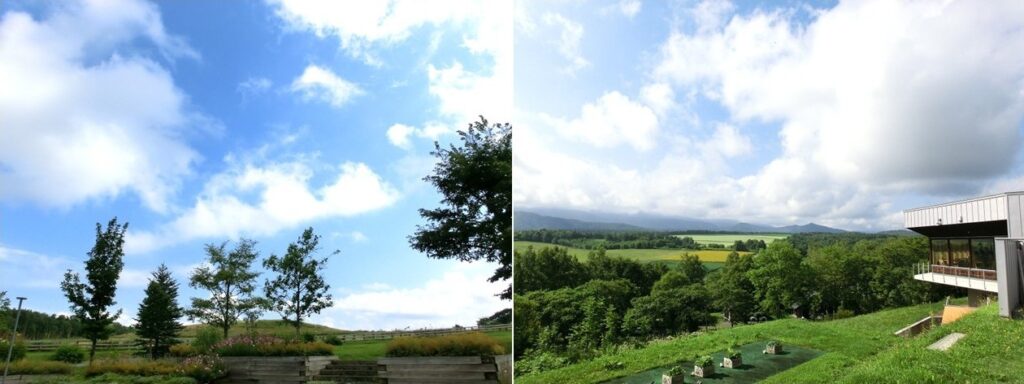 レストラン周辺の絶景