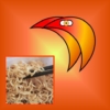 Thumbnail of new posts 060