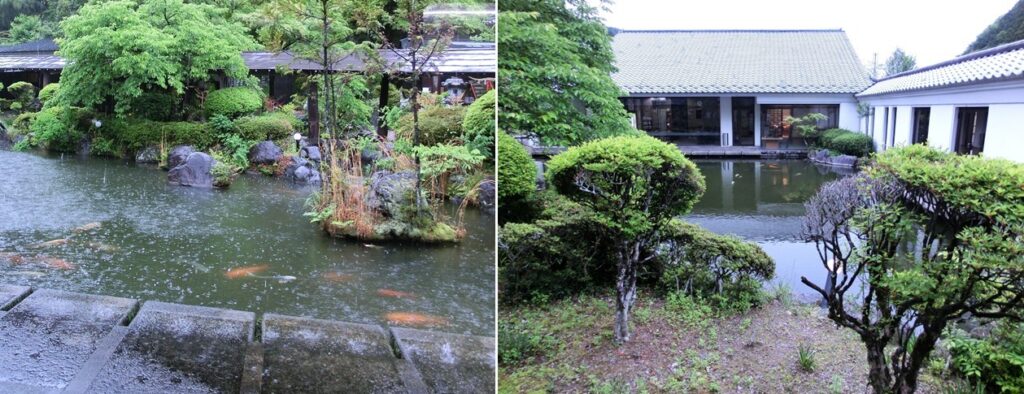 よく手入れされた庭園と錦鯉がおよぐ池